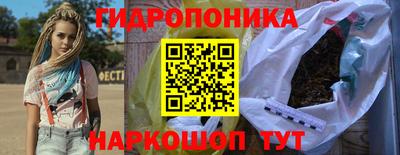 гашик Новодвинск