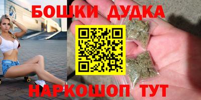 гашик Новодвинск