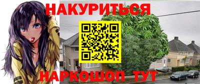 соль ск Новозыбков