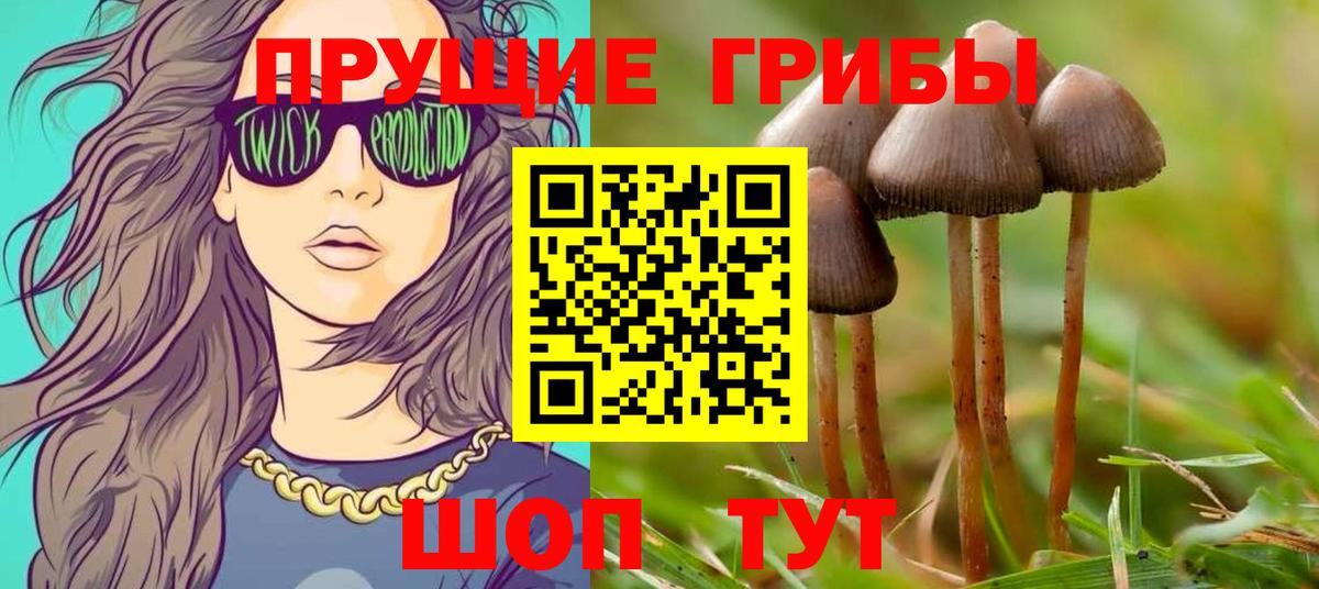 Галлюциногенные грибы ЛСД  Псилоцибиновые грибы Cubensis  Вход с VPN  Ставрополь 
