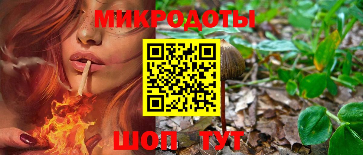 Псилоцибиновые грибы прущие грибы Ставрополь